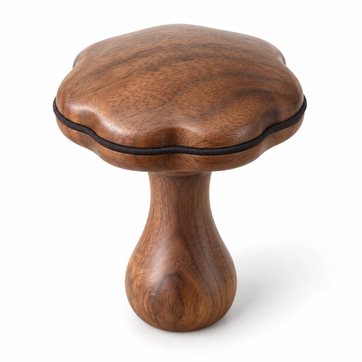 Scallop-Cap Darning Mushroom