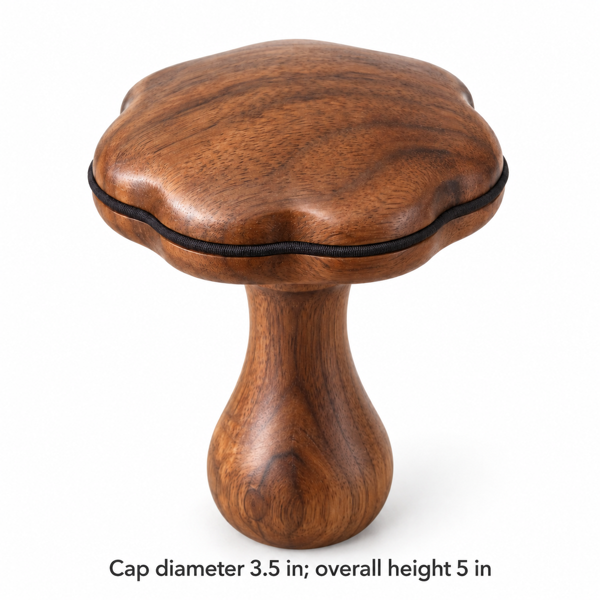 Scallop-Cap Darning Mushroom